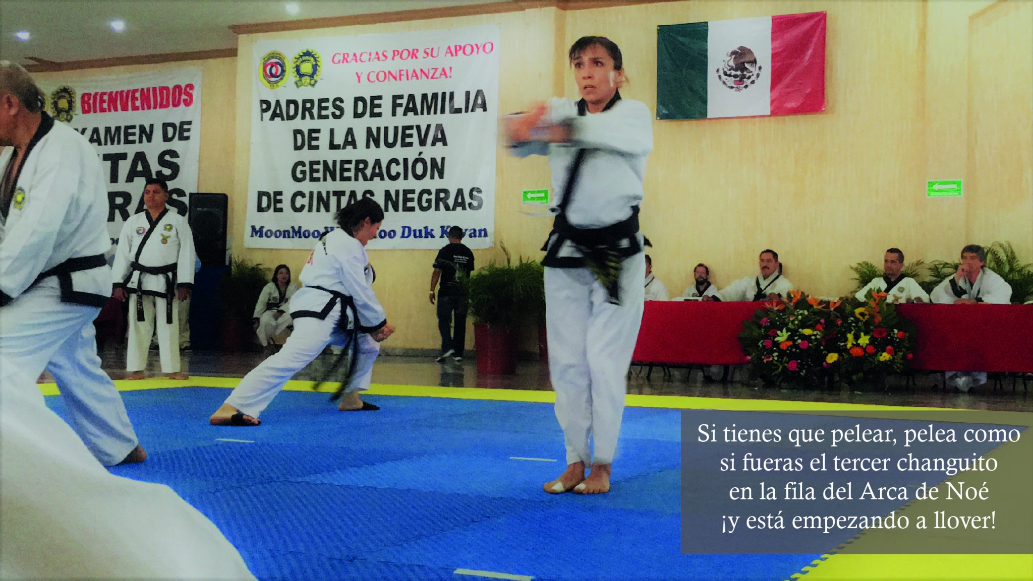 Proyecto Taekwondo v2.0 Pelea sin miedo
