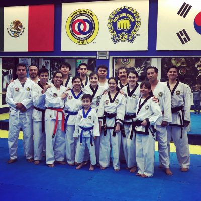 Proyecto taekwondo V2.0 Grupo