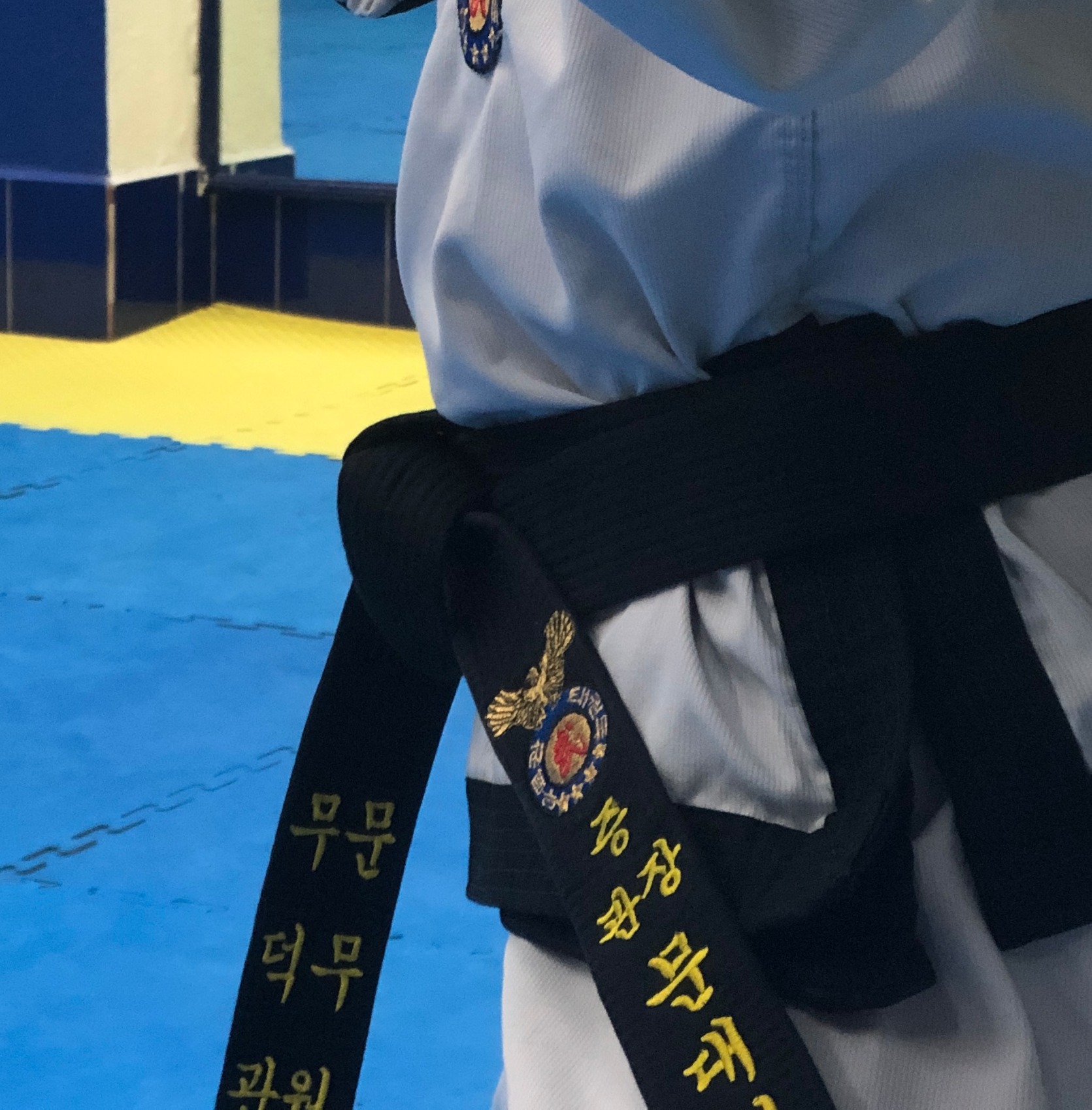 Proyecto Taekwondo V2.0 Aguila