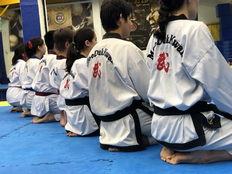 Proyecto Taekwondo v2.0 cintas negras