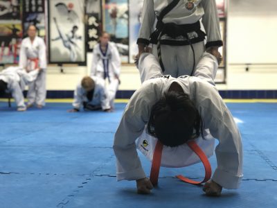 Proyecto Taekwondo v2.0 Entrenamiento