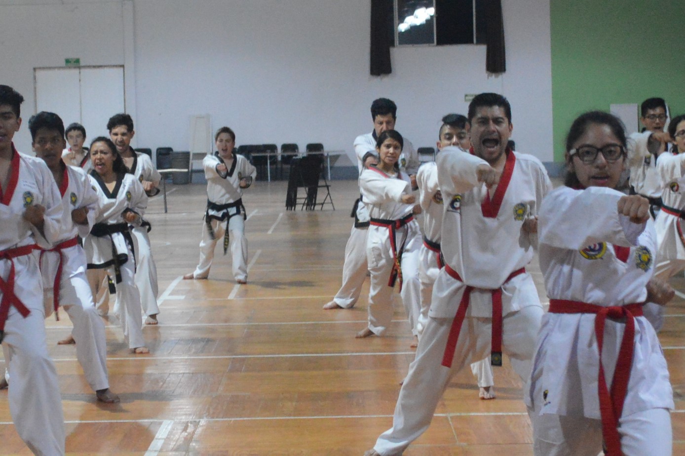 Proyecto Taekwondo V2.0 Grito