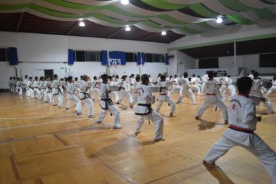 Proyecto Taekwondo V2.0 Practica grupo