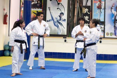 Proyecto Taekwondo V2.0 equipo