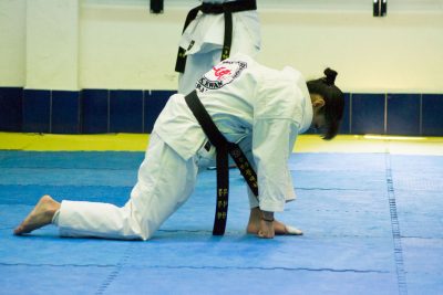Cobra Kai karate y taekwondo Proyecto Taekwondo V2.0 dedicación