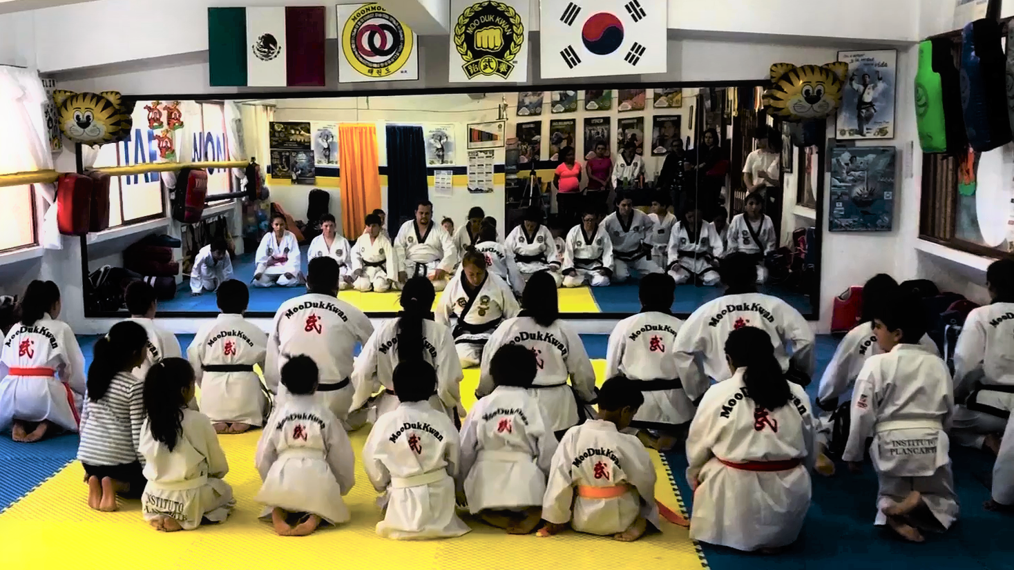 Proyecto Taekwondo V2.0 Meditación