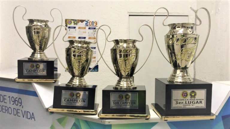 Proyecto Taekwondo V2.0 Trofeos MDK Central Copa 2019