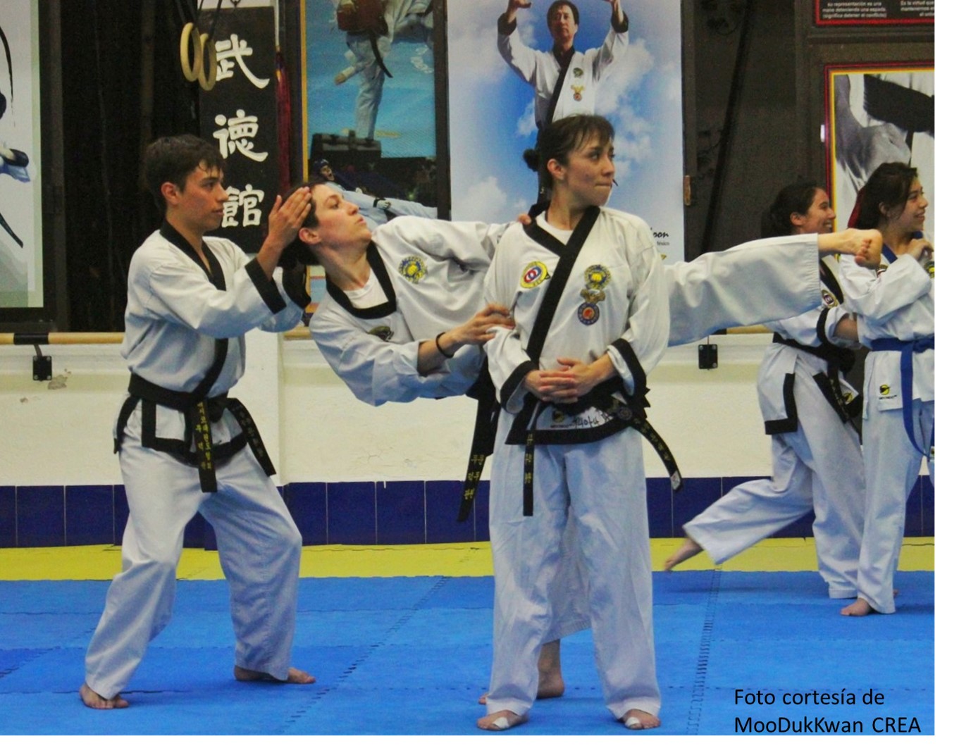 Proyecto Taekwondo V2.0 Perseverancia