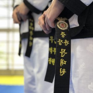 ¿Cobra Kai resurgió las artes marciales para los jóvenes?