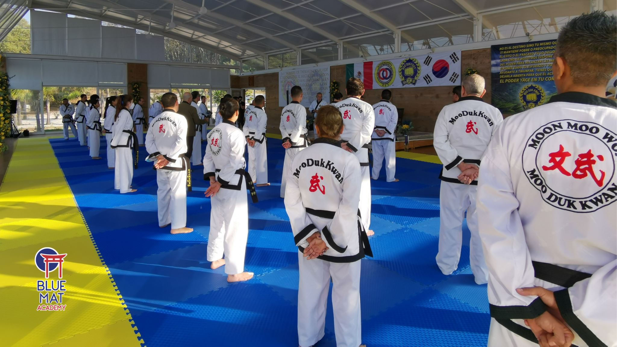Como es un examen taekwondo - Blue Mat Academy