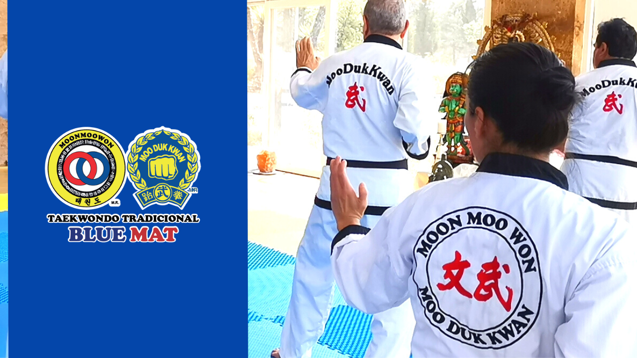 vida que merece ser vivida taekwondo moon moo won moo duk kwan